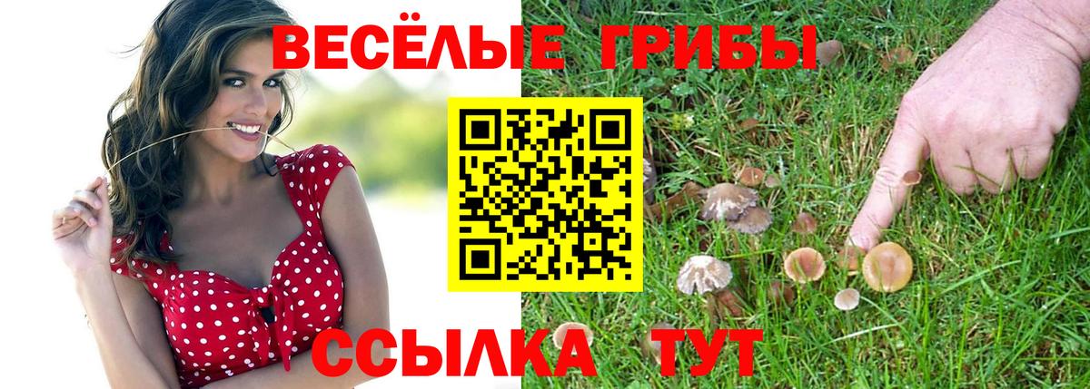 Нижний Тагил  Псилоцибиновые грибы MAGIC MUSHROOMS  где можно купить   Вход с VPN 